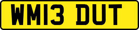 WM13DUT
