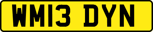 WM13DYN