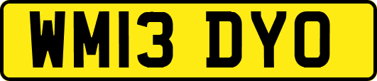 WM13DYO
