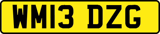 WM13DZG