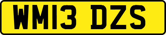 WM13DZS