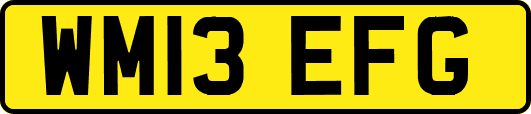 WM13EFG
