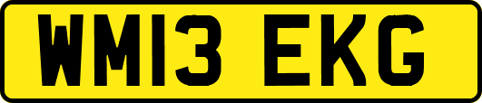 WM13EKG