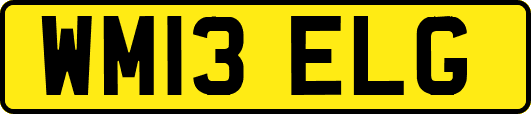 WM13ELG