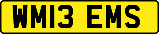 WM13EMS