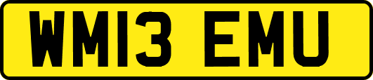 WM13EMU