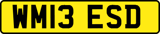 WM13ESD