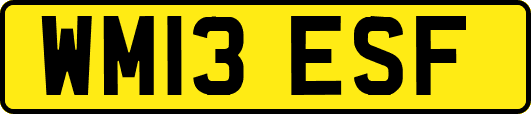 WM13ESF