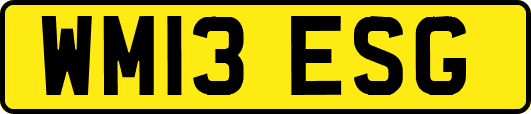 WM13ESG