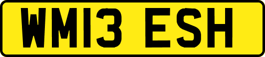 WM13ESH