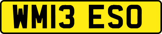 WM13ESO