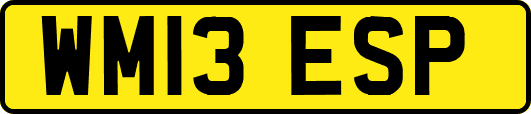 WM13ESP