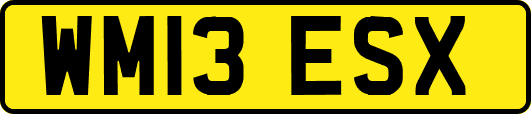 WM13ESX