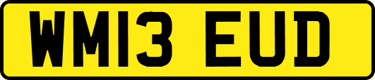 WM13EUD