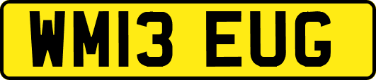 WM13EUG