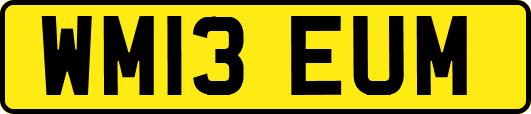WM13EUM