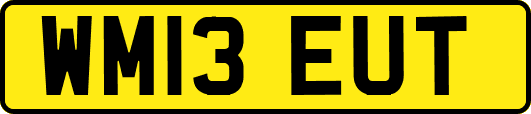 WM13EUT