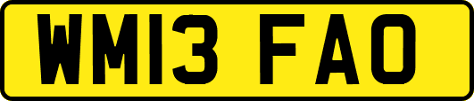 WM13FAO