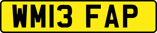 WM13FAP
