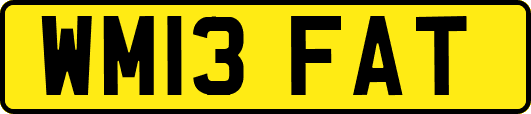 WM13FAT
