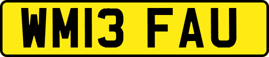 WM13FAU