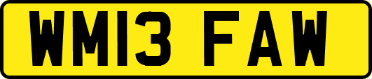 WM13FAW