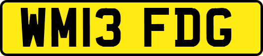 WM13FDG
