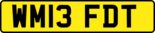 WM13FDT