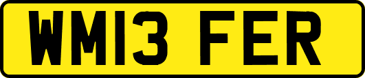 WM13FER