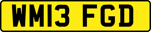 WM13FGD