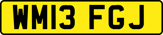 WM13FGJ