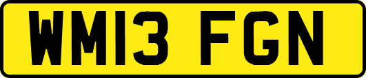 WM13FGN