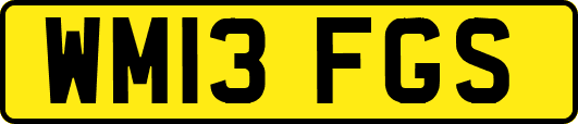 WM13FGS
