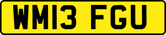 WM13FGU