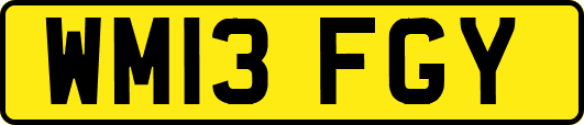 WM13FGY