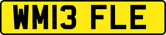 WM13FLE
