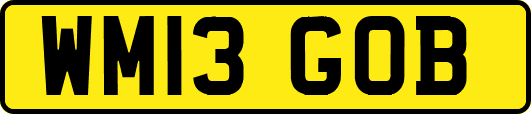 WM13GOB