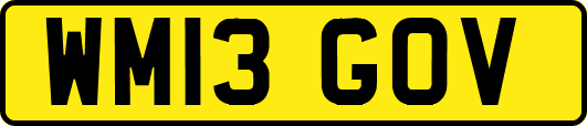 WM13GOV