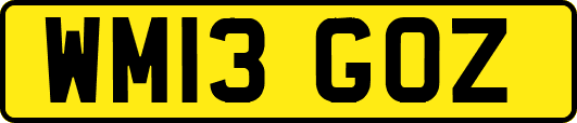 WM13GOZ