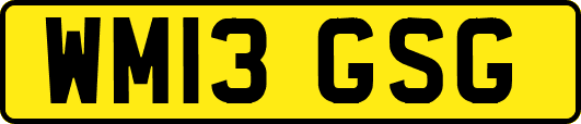 WM13GSG