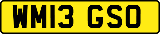 WM13GSO