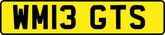 WM13GTS