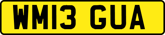 WM13GUA