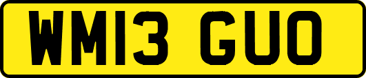 WM13GUO