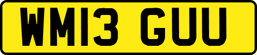 WM13GUU