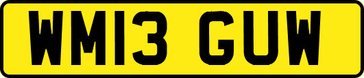WM13GUW