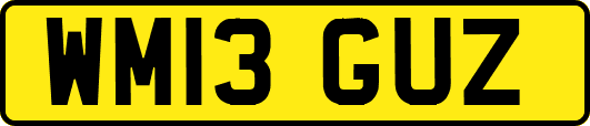 WM13GUZ