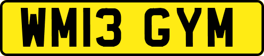 WM13GYM