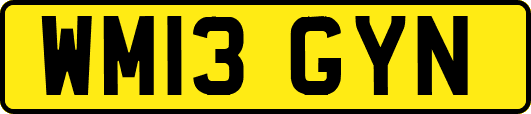 WM13GYN