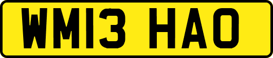 WM13HAO